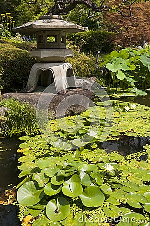 Japanese lantern with leaves of lotos Stock Photo