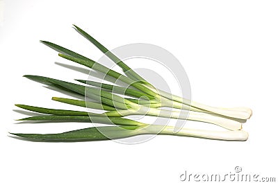 Japanese leek in a white background Stock Photo