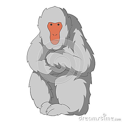 Japanese macaque icon, cartoon style Vector Illustration