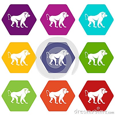 Japanese macaque icon set color hexahedron Vector Illustration