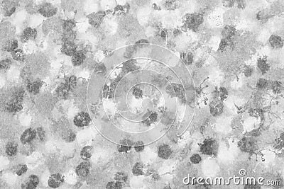 Japanese new year white paper texture background or natural canvas abstract, ancient image Stock Photo