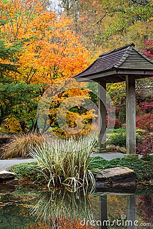 Japanese pagoda and grasses reflecting in the pond with colorful trees in the background in autumn. Stock Photo