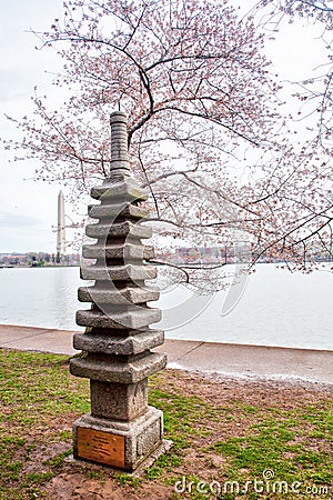 Japanese Pagoda during Cherry Blossom season in Washington DC Editorial Stock Photo