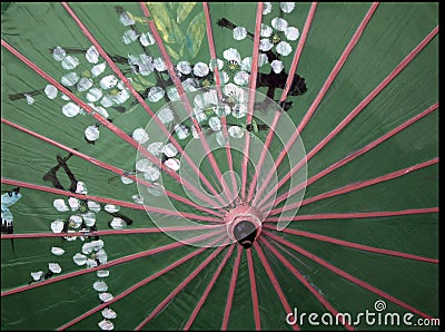 Japanese parasol Stock Photo