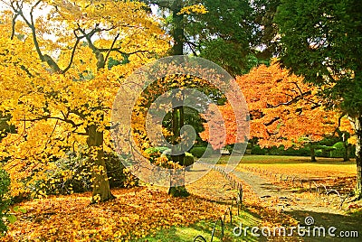 Japanese park in autumn in Tokyo, Japan. Stock Photo