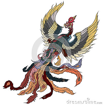 Japanese peacock tattoo.Asian Phoenix fire bird tattoo design.Colorful Phoenix fire bird colouring book illustration. Vector Illustration