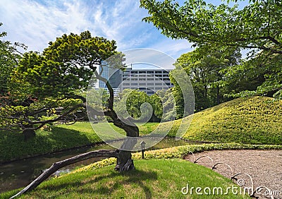 Japanese pine and pond in the Koishikawa Korakuen Park. Editorial Stock Photo