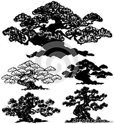Japanese pine tree. Vector Illustration