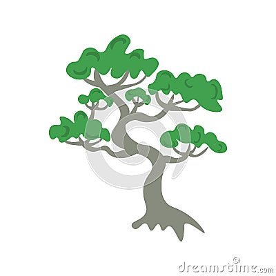 Japanese pine tree Vector Illustration