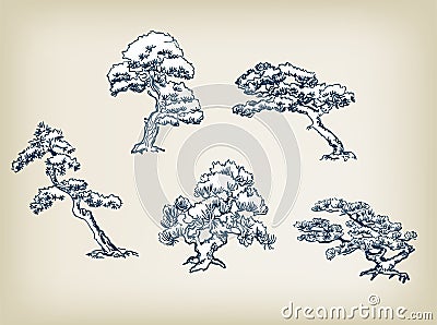 Japanese pine vector illustration set design elements Cartoon Illustration