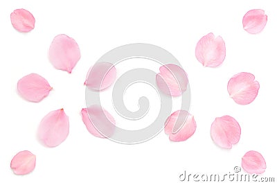 Japanese pink cherry blossom petals abstract on white background Stock Photo