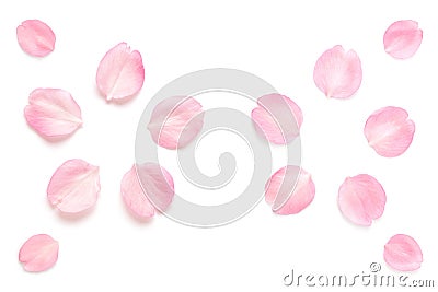 Japanese pink cherry blossom petals abstract on white background Stock Photo