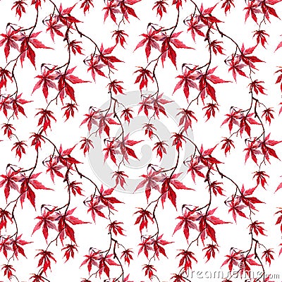 Japanese red maple leaves. Repeating pattern. Water color Stock Photo