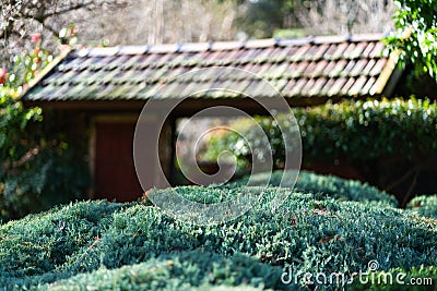 Japanese roof with dragon shaped decoration tiles Stock Photo