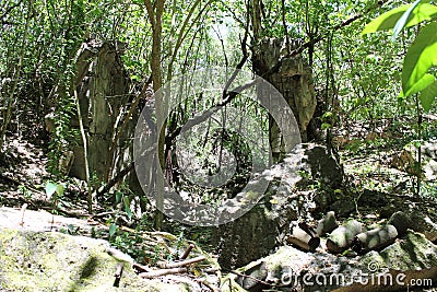 Japanese ruins on Tinian Stock Photo