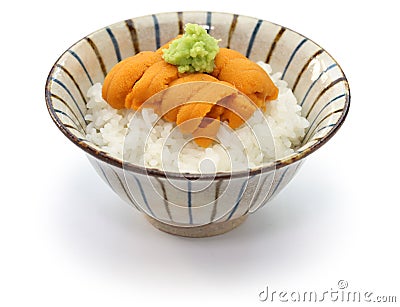 Japanese sea urchin roe on rice Stock Photo