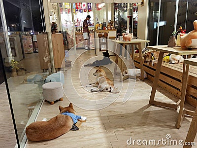 Japanese Shiba Inu Dog Cafe Dogs Coffee Shop Doge Coin Puppy Pup Digital Currency Mobile Payment Crypto Ups Downs Market Editorial Stock Photo