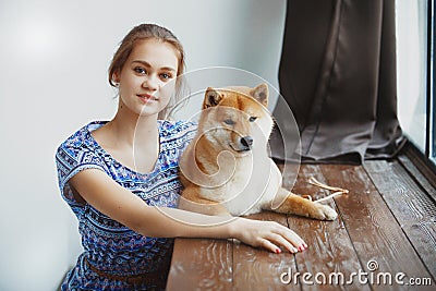 Japanese Shiba Inu dog near a window Stock Photo