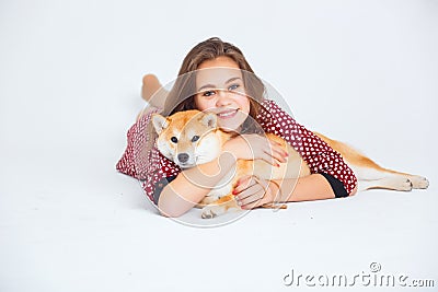 Japanese Shiba Inu dog near a window with the owner Stock Photo