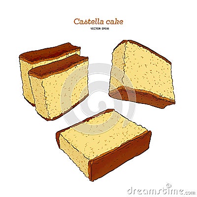 Japanese sponge cake - castella. Hand draw vector Vector Illustration