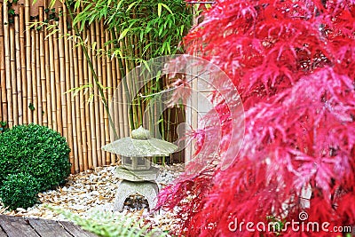 Japanese stone lantern and red maple tree Stock Photo