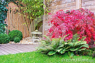 Japanese stone lantern and red maple tree Stock Photo