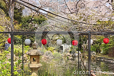 Japanese stone and paper lanterns in front of the pond of Atago shrine with cherry blossoms. Editorial Stock Photo