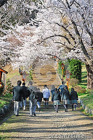 Japanese students with japan cheery blosoom Stock Photo