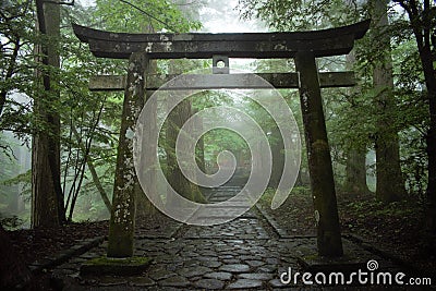 Japanese torii Shinto shrine gate in the forest, Nikko, Japan Stock Photo