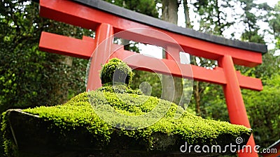 Japanese Torri gate Stock Photo