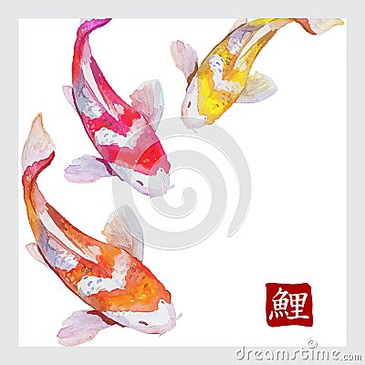 Japanese watercolor carps koi swimming Vector Illustration