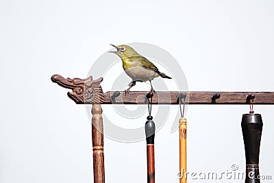 Bird and Chinese brush holder Stock Photo