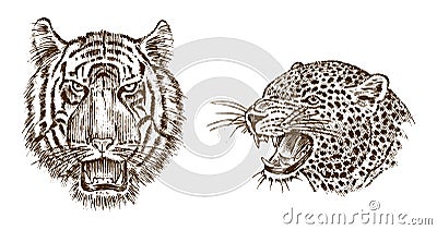 Japanese Wild Tiger and animal leopard. Asian Wild cat. profile of head or face. Tattoo artwork. Engraved hand drawn in Vector Illustration