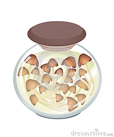 A Jar of Delicious Marinated Forest Mushrooms Vector Illustration