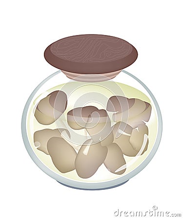 A Jar of Delicious Marinated Oyster Mushrooms Vector Illustration