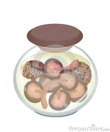 A Jar of Delicious Marinated Shiitake Mushrooms Vector Illustration