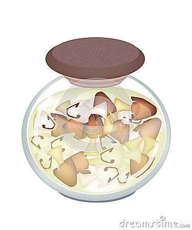 A Jar of Delicious Marinated Straw Mushrooms Vector Illustration