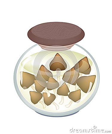 A Jar of Delicious Marinated Termite Mushroom Vector Illustration
