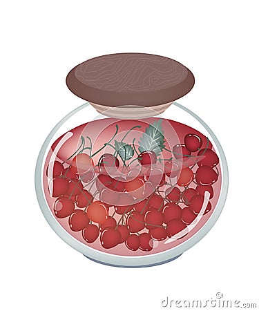 A Jar of Delicious Preserved Red Cherries Vector Illustration