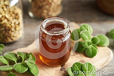 A jar of homemade Coleus amboinicus syrup for common cold Stock Photo
