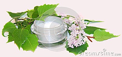 Jar natural cream sprig bloom purple white lilac cosmetic set is Stock Photo