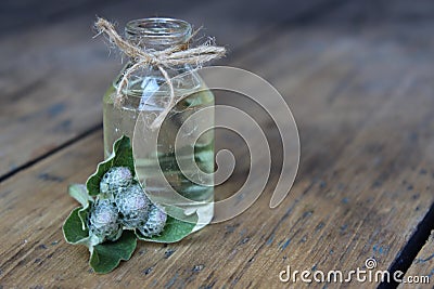 Jar with thistle oil Stock Photo