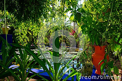 Jardin Majorelle Gardens in Marrakech, Morocco. Tropical plants and cactus Stock Photo