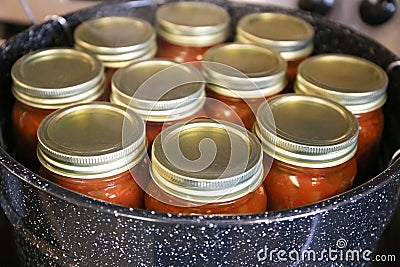 Jars of Freshly Canned Homemade Salsa Boiling in Pot Stock Photo