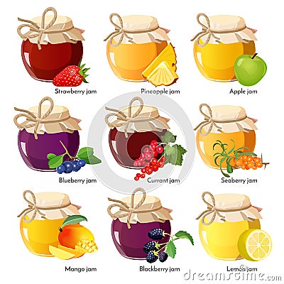 Jars with red strawberry, healthy pineapple, apple and blueberry jam Vector Illustration