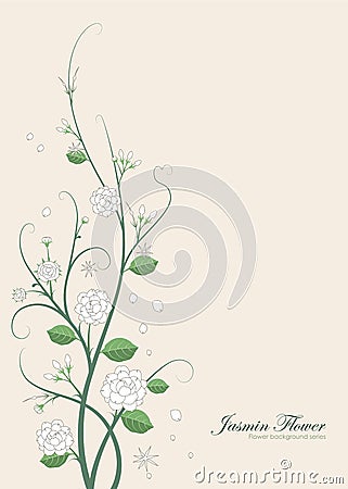 Jasmin flower illustration Vector Illustration