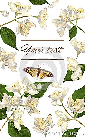 Jasmine flowers banner Vector Illustration