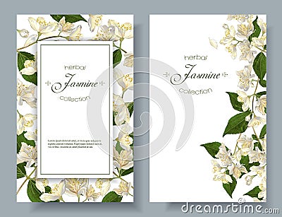 Jasmine flowers banners Vector Illustration