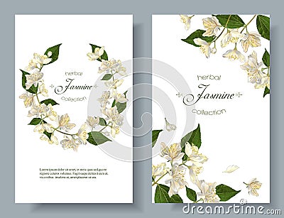 Jasmine flowers banners Vector Illustration