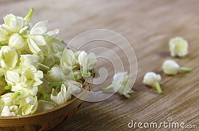 Jasmine flowers in a basket Stock Photo